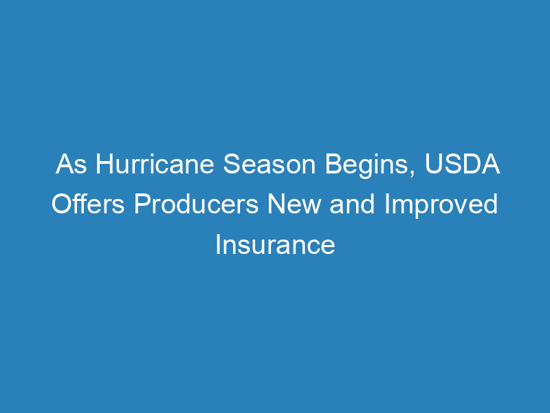as-hurricane-season-begins-usda-offers-producers-new-and-improved-insurance-options