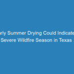 early-summer-drying-could-indicate-a-severe-wildfire-season-in-texas