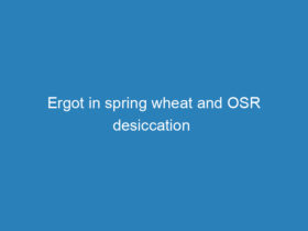ergot-in-spring-wheat-and-osr-desiccation