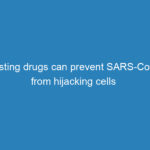 existing-drugs-can-prevent-sars-cov-2-from-hijacking-cells