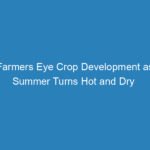 farmers-eye-crop-development-as-summer-turns-hot-and-dry
