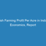 fish-farming-profit-per-acre-in-india-economics-report