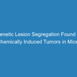 genetic-lesion-segregation-found-in-chemically-induced-tumors-in-mice