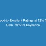 good-to-excellent-ratings-at-72-for-corn-70-for-soybeans
