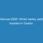 harvest-2020-winter-barley-yield-boosted-in-cambs