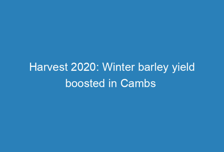 harvest-2020-winter-barley-yield-boosted-in-cambs