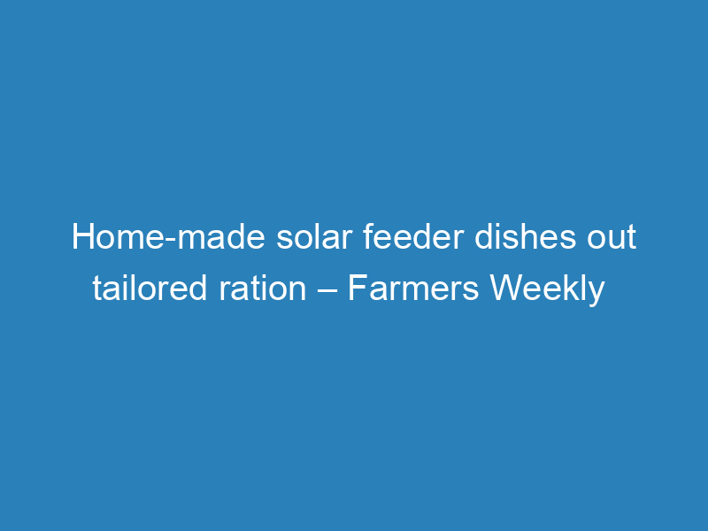 home-made-solar-feeder-dishes-out-tailored-ration-farmers-weekly