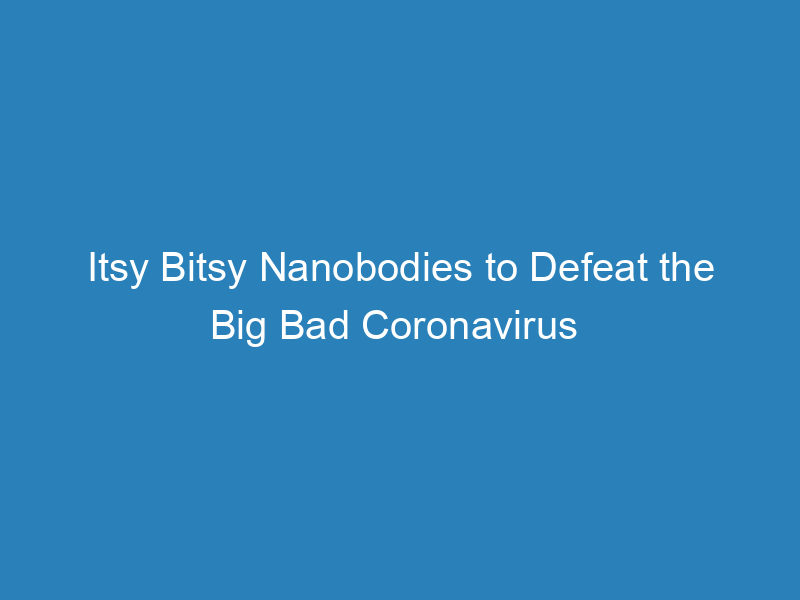 itsy-bitsy-nanobodies-to-defeat-the-big-bad-coronavirus
