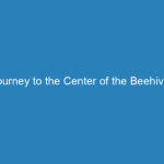 journey-to-the-center-of-the-beehive
