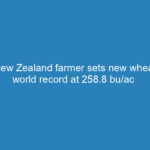 new-zealand-farmer-sets-new-wheat-world-record-at-258-8-bu-ac