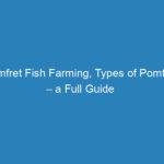 pomfret-fish-farming-types-of-pomfrets-a-full-guide