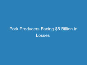 pork-producers-facing-5-billion-in-losses