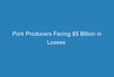 pork-producers-facing-5-billion-in-losses