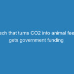 tech-that-turns-co2-into-animal-feed-gets-government-funding