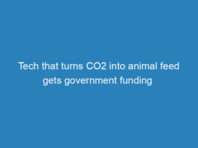 tech-that-turns-co2-into-animal-feed-gets-government-funding