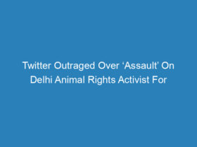 twitter-outraged-over-assault-on-delhi-animal-rights-activist-for-sterilising-stray-dogs