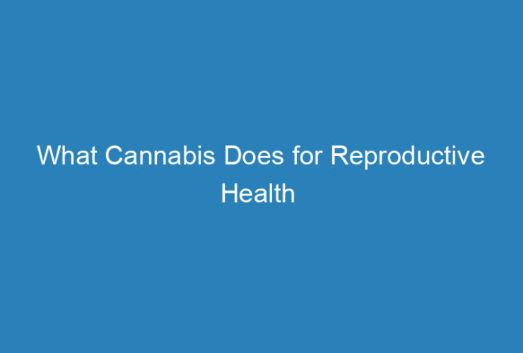 what-cannabis-does-for-reproductive-health