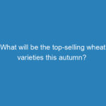what-will-be-the-top-selling-wheat-varieties-this-autumn