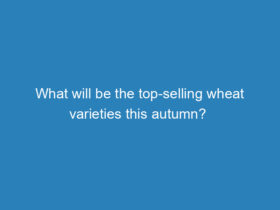 what-will-be-the-top-selling-wheat-varieties-this-autumn
