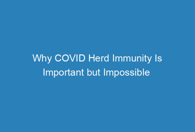 why-covid-herd-immunity-is-important-but-impossible