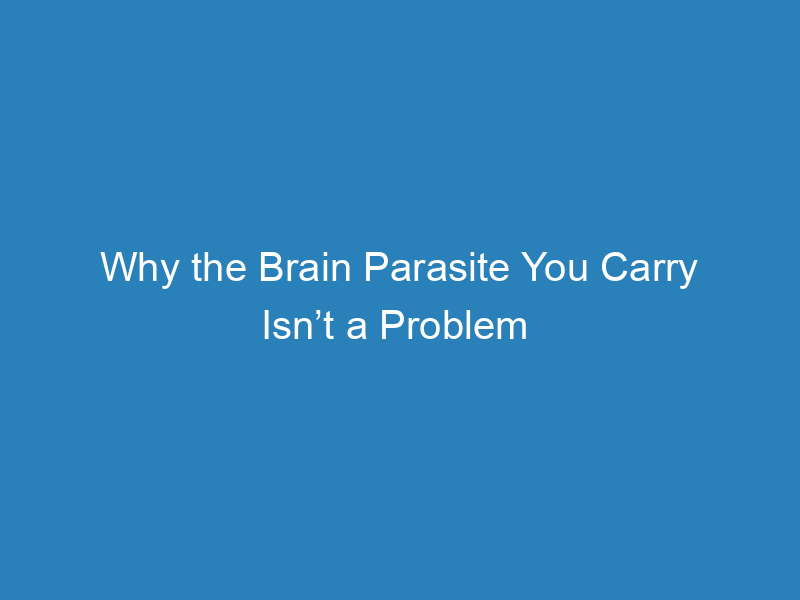 why-the-brain-parasite-you-carry-isnt-a-problem